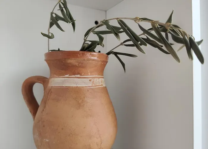 Casa Carmen Шимуни